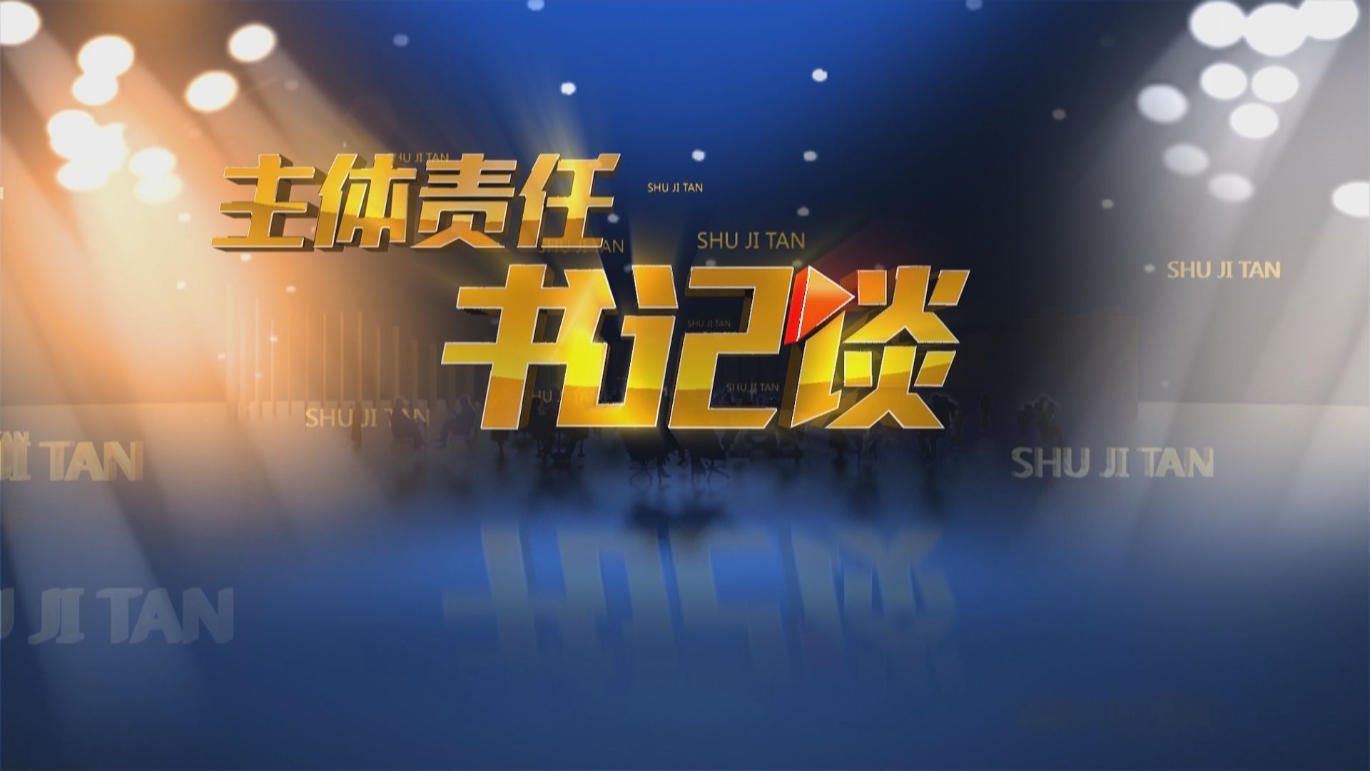 主体责任书记谈